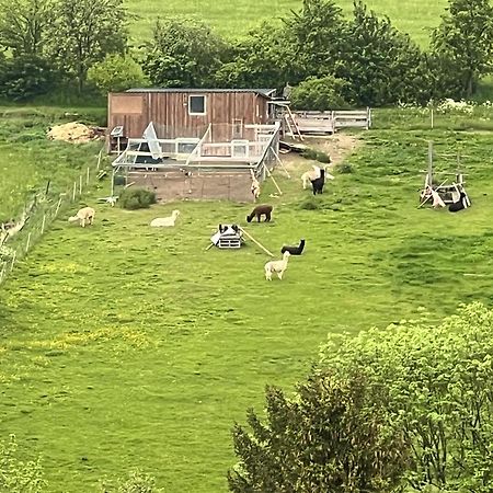 Gemuetliche 3-Zimmer-Wohnung Mit Panoramablick Und Kostenlosem Ueberdachten Parkplatz 温特贝格 外观 照片