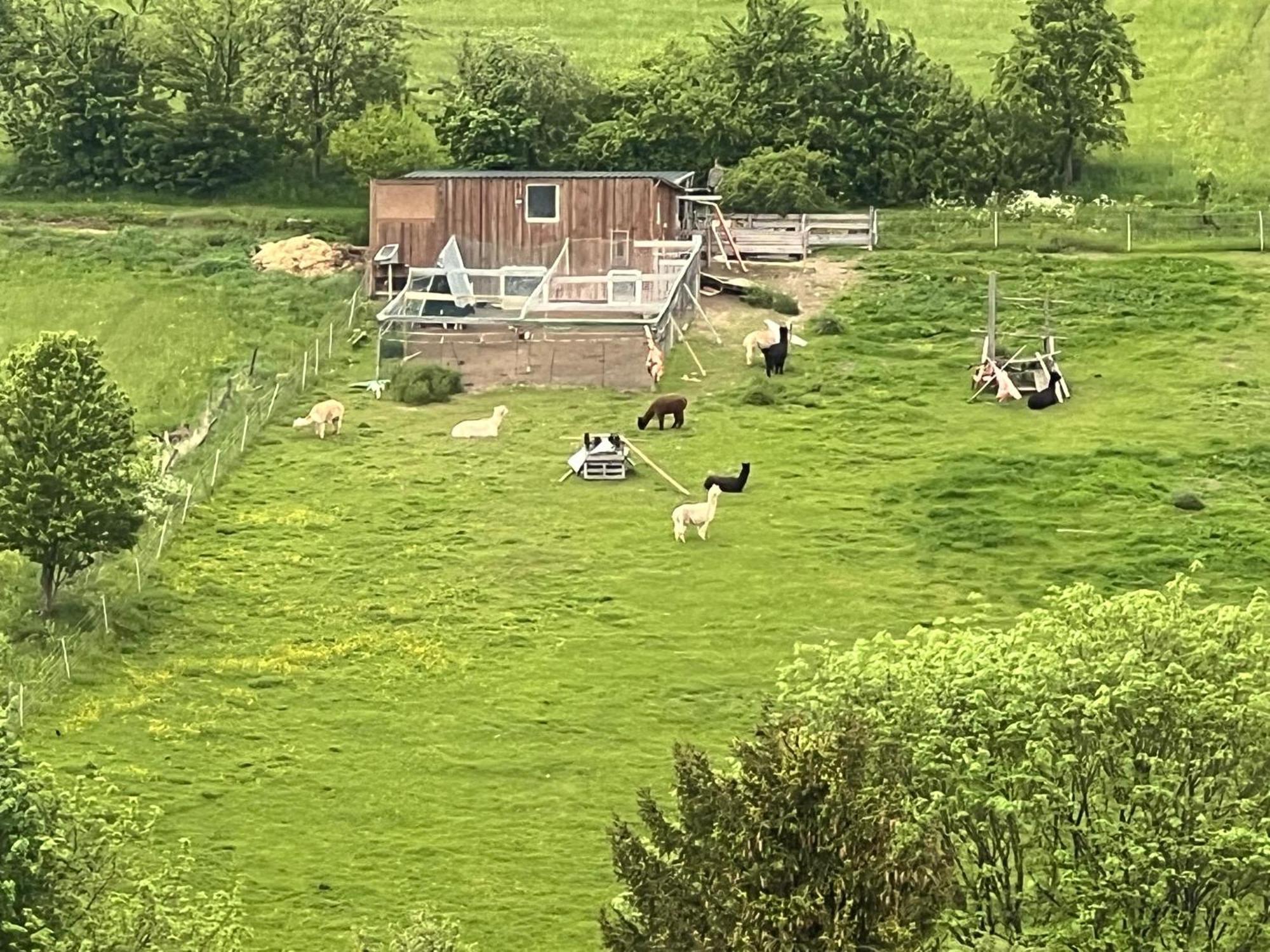 Gemuetliche 3-Zimmer-Wohnung Mit Panoramablick Und Kostenlosem Ueberdachten Parkplatz 温特贝格 外观 照片